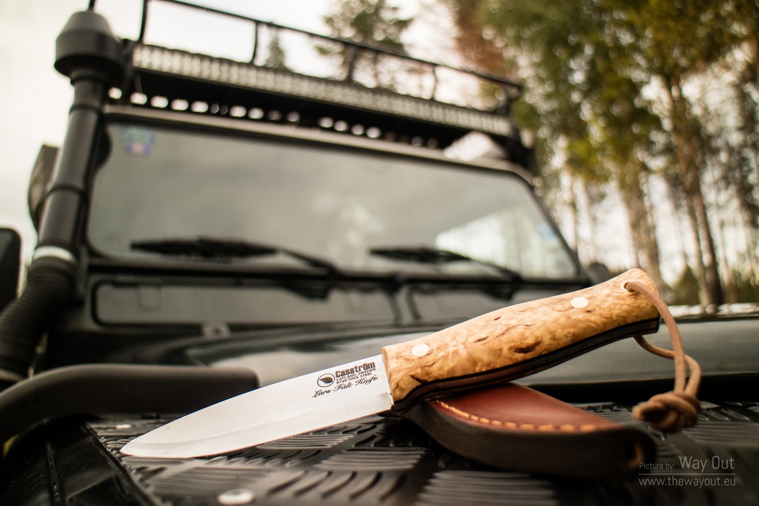 Casstrom Lars Falt mes